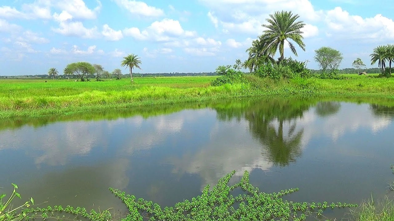 শরৎ