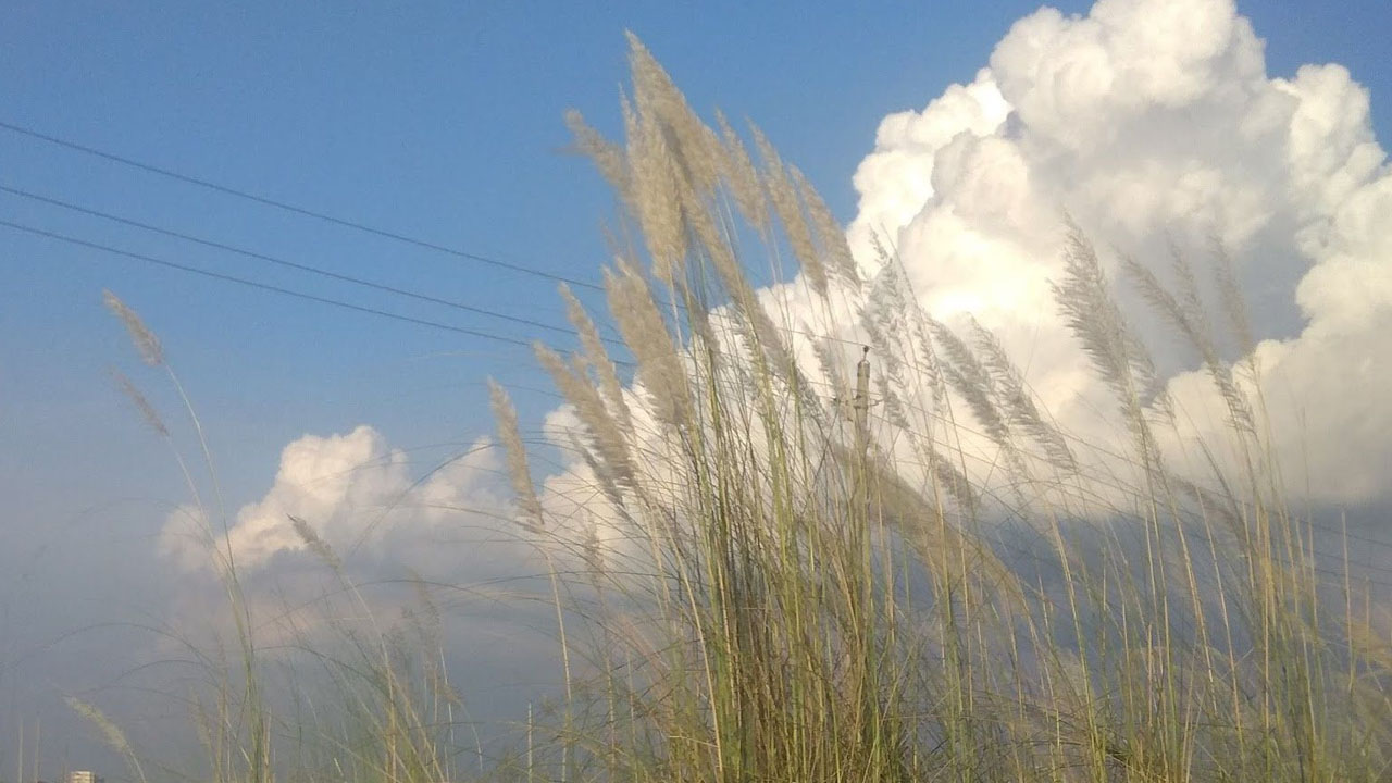 শরতের শুভ্র প্রকৃতি