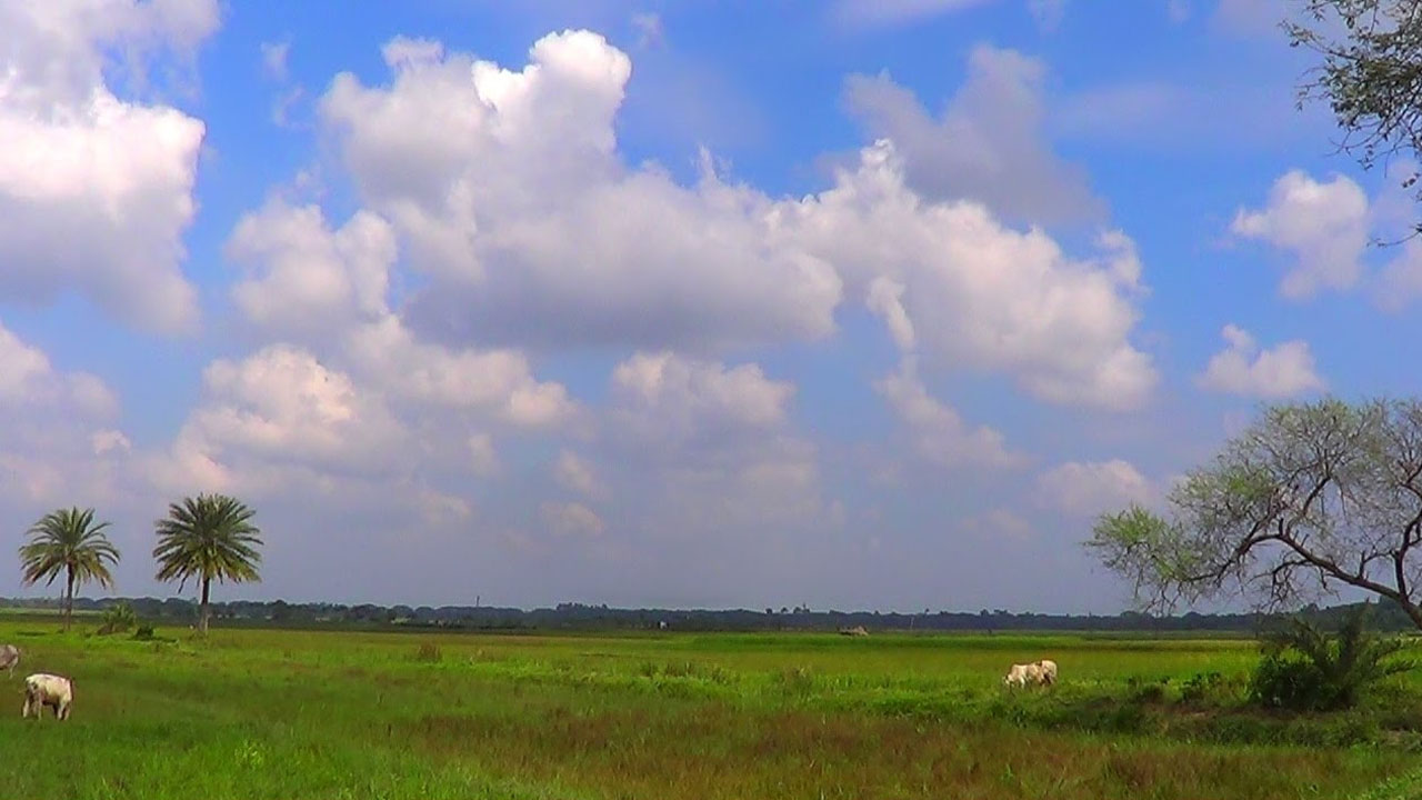 শরতের বিকেল