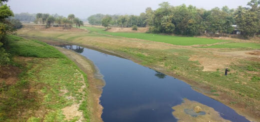 সময়ের খরস্রোতে