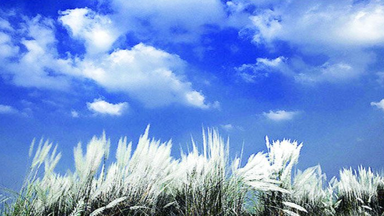 শরৎ প্রেম