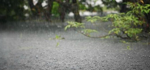 শ্রাবণের বারি