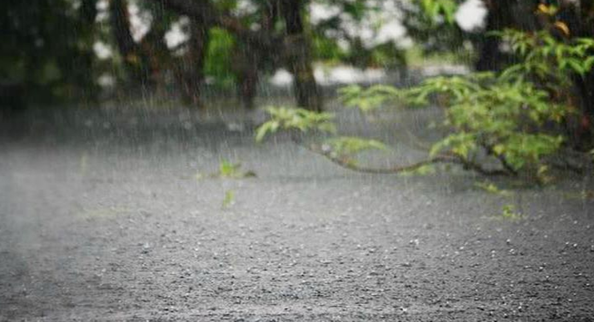 শ্রাবণের বারি