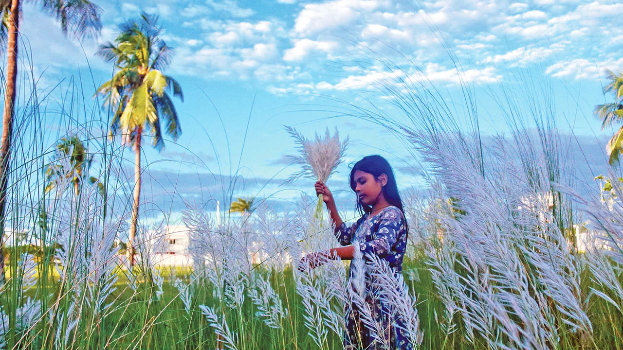 প্রিয়ার চোখে শরৎ