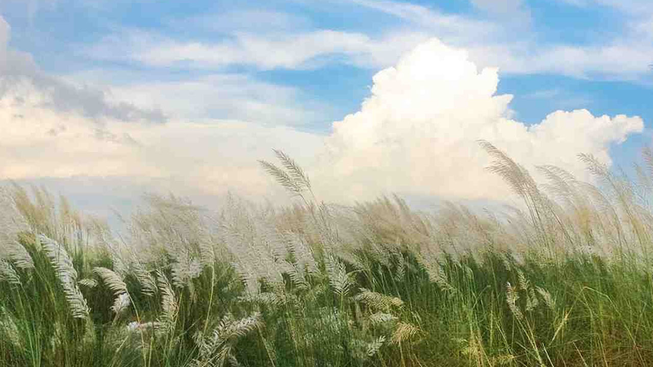 আমায় ডাকে