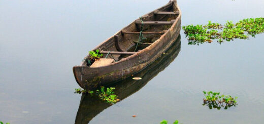 প্রত্যাবর্তন