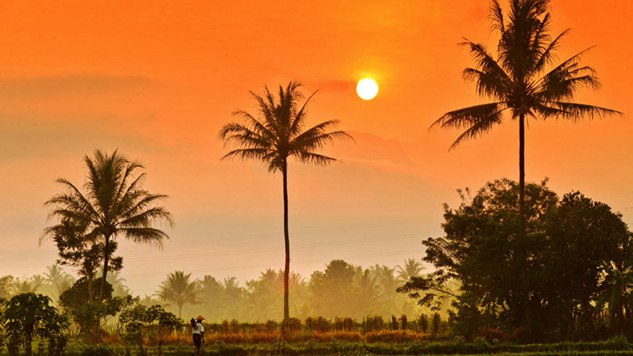শরতে নিমন্ত্রণ