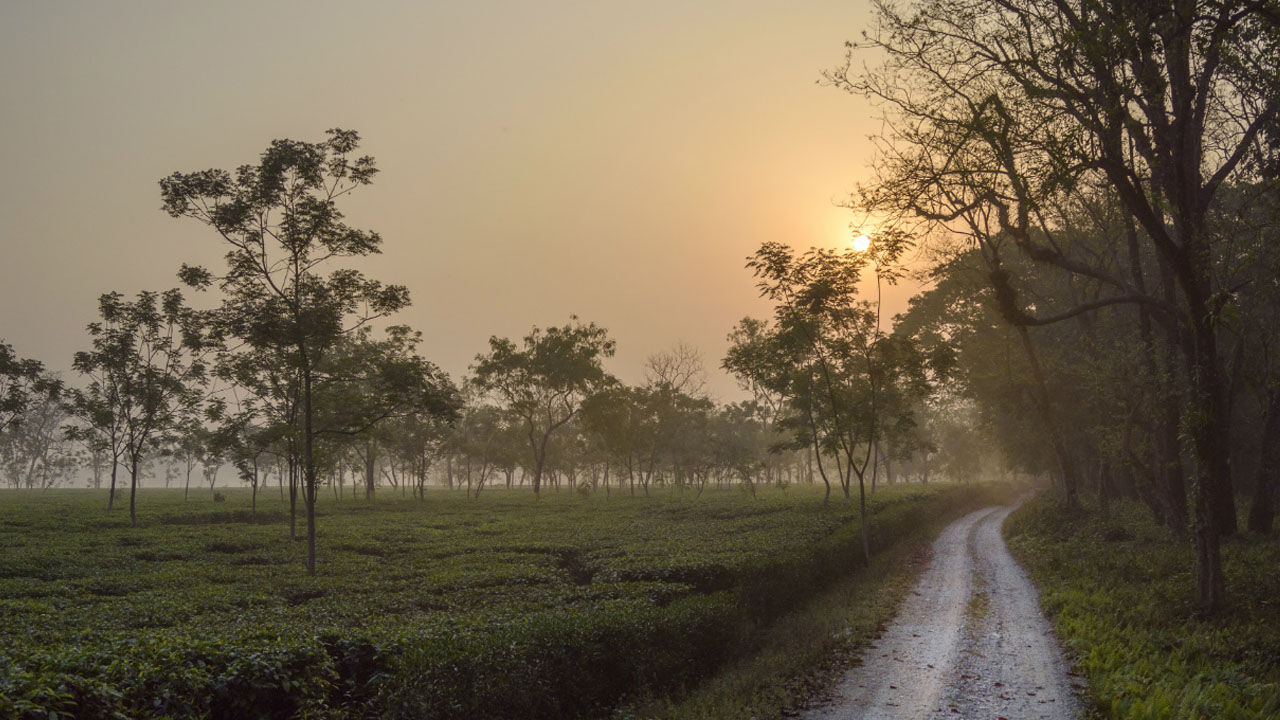 ঋতু রানি