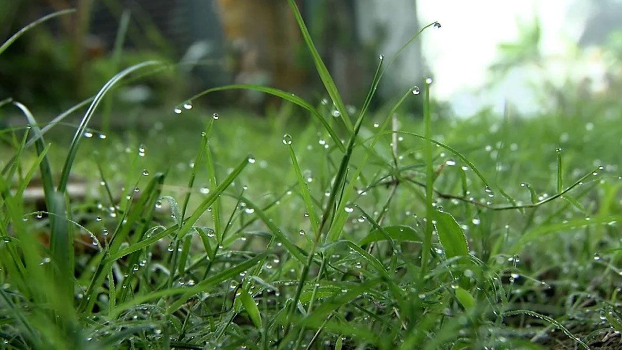 হেমন্তী