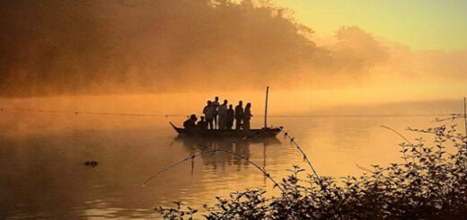 শীত মানে