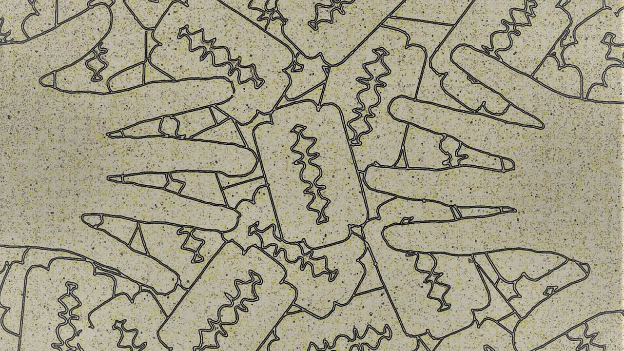 ব্যবচ্ছেদ