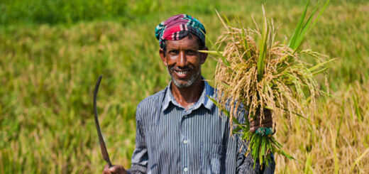 কৃষকের হাসি