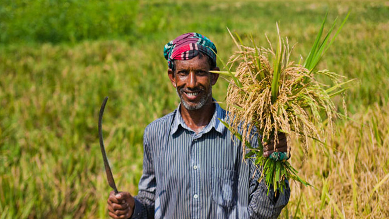 কাঁচা সোনা