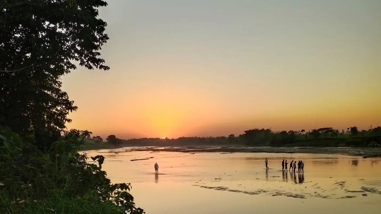 মায়া