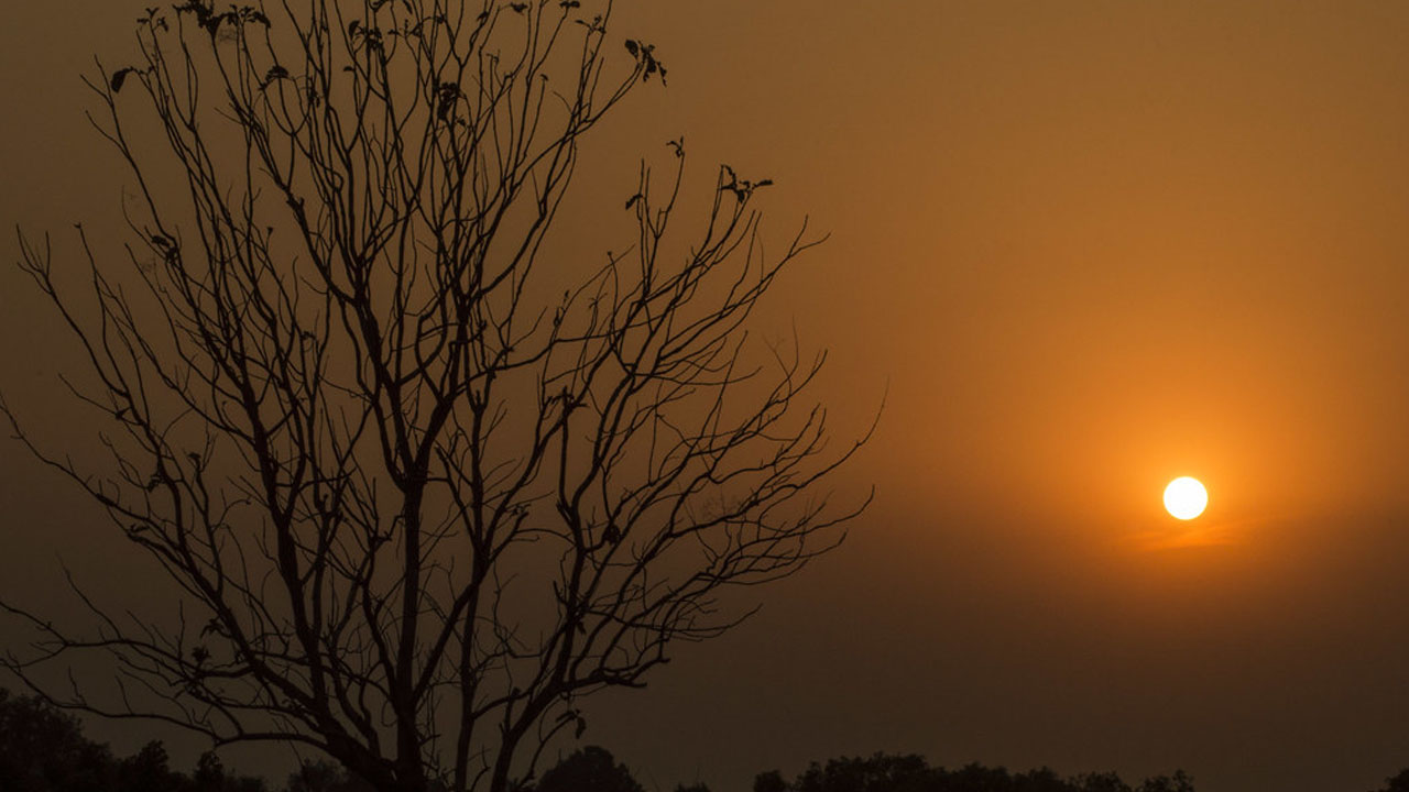 শেষ বিকেলের আলো