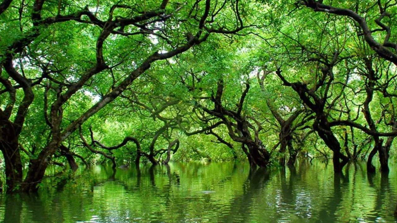 পাতা বরণের উৎসব