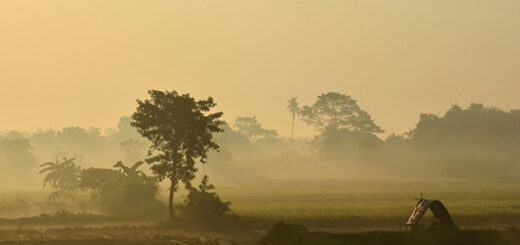 দাপুটে শীত