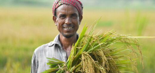 কৃষক বাঁচলে দেশ বাঁচবে