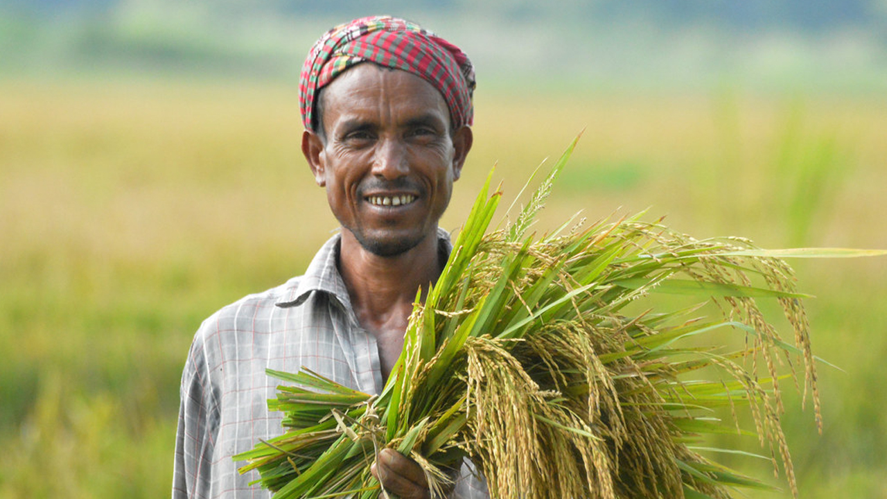 কৃষক বাঁচলে দেশ বাঁচবে