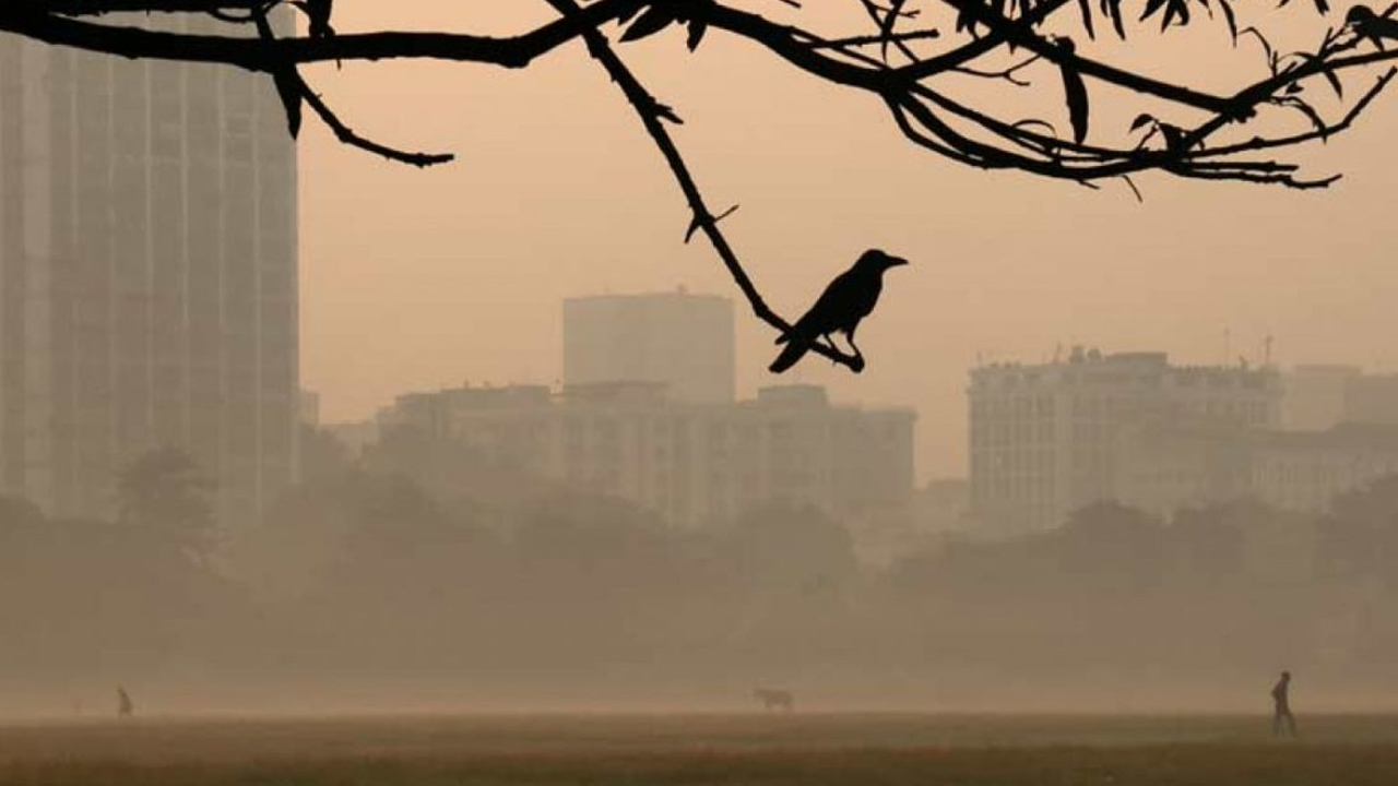 কমেছে শীতের দাপট