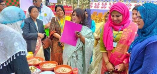 পিঠা উৎসব ও ‘অনন্যা পিঠা প্রতিযোগিতা’ অনুষ্ঠিত