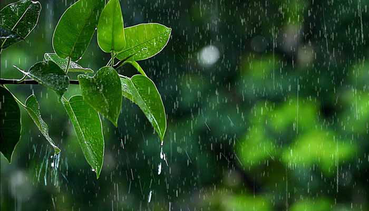 ভিজে যায় প্রিয় জীবন