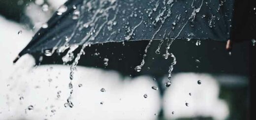 অবশেষে বৃষ্টি এলো