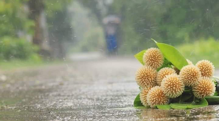 আষাঢ়