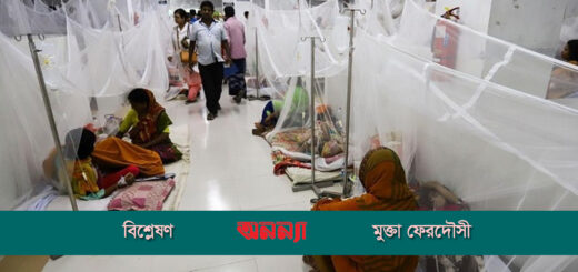 ডেঙ্গুতে নারীর মৃত্যু বেশি: সচেতনতা জরুরি