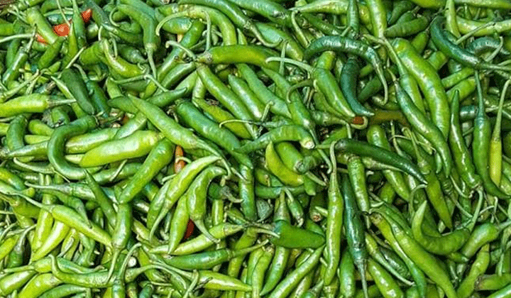 কাঁচামরিচ সংরক্ষণের উপায়