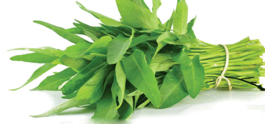 কলমি শাকের পুষ্টিগুণ