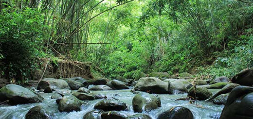 রোমাঞ্চকর হামহাম জলপ্রপাত