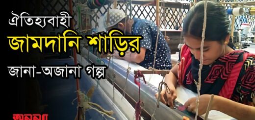 জামদানি শাড়ির জানা-অজানা গল্প | Jamdani|Shari|