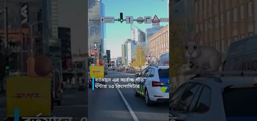 ডেলিভারি নিয়ে দুশ্চিন্তা? মানুষের পরিবর্তে কি রোবট কুরিয়ার অধিকতর ভাল সেবা দিতে পারে?