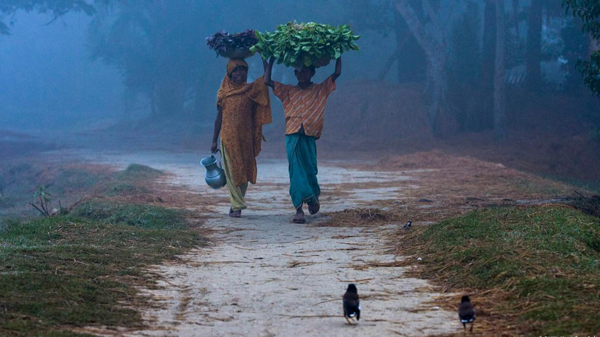জলবায়ু-বৈচিত্র্য: পৌষেও শীতের দেখা নেই!