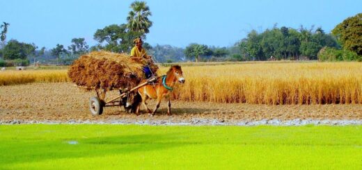 হেমন্ত আসে সন্ন্যাসী ধ্যানে