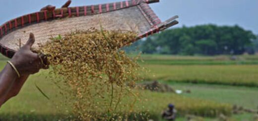 হেমন্ত আসে সন্যাসী ধ্যানে