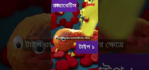 অগ্ন্যাশয়: রক্তের শর্করা নিয়ন্ত্রক | DW | Health | Anannya