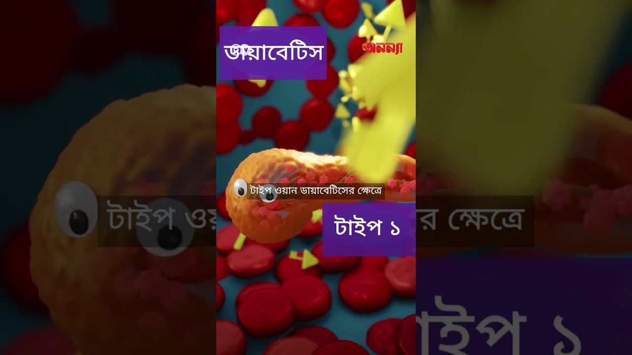 অগ্ন্যাশয়: রক্তের শর্করা নিয়ন্ত্রক | DW | Health | Anannya