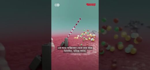 শরীরে যখন নতুন এক অঙ্গের জন্ম হয় | প্লাসেন্টা | DW | Health | Anannya