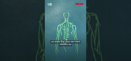 টনসিল আমাদের কেন দরকার ! | DW | Health | Anannya