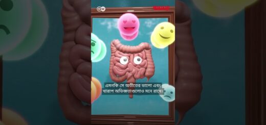 অন্ত্র কি মানুষের দ্বিতীয় মস্তিষ্ক? | DW | Health | Anannya