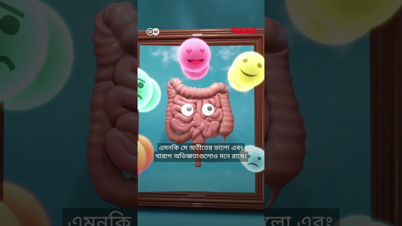 অন্ত্র কি মানুষের দ্বিতীয় মস্তিষ্ক? | DW | Health | Anannya