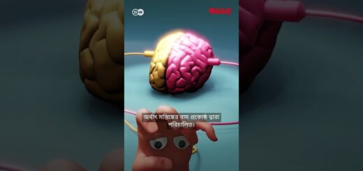 হাত: আমাদের সবচেয়ে জটিল যন্ত্র| DW | Health | Anannya