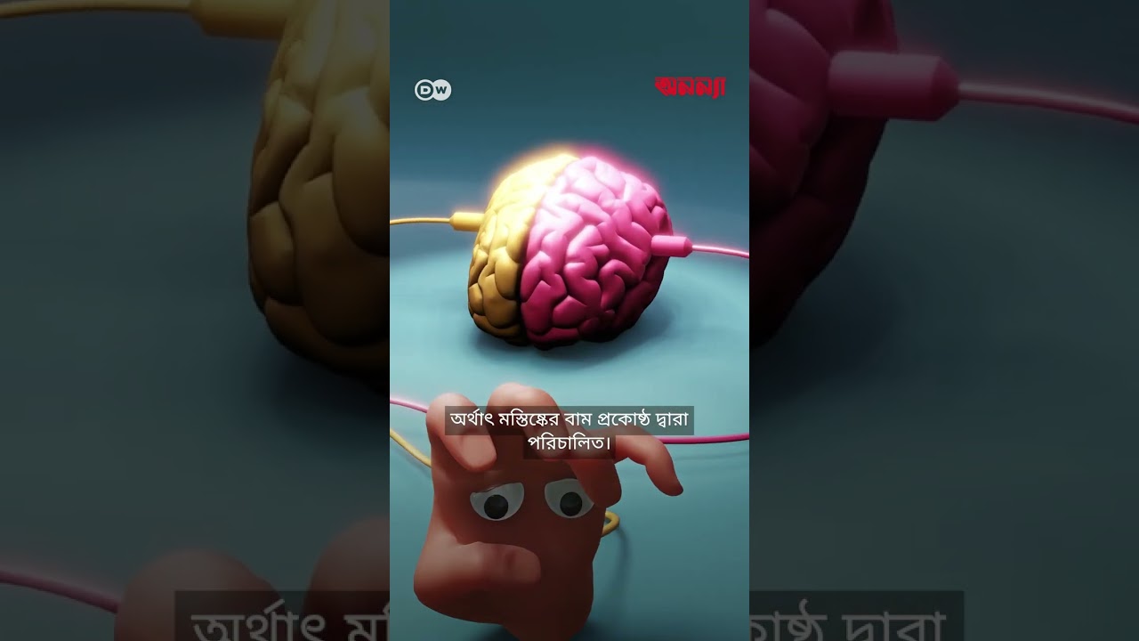 হাত: আমাদের সবচেয়ে জটিল যন্ত্র| DW | Health | Anannya