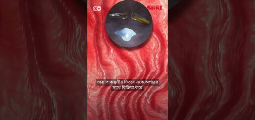 আমাদের পাকস্থলী আসলে কতটা শক্তপোক্ত? | পাকস্থলী | DW | Health | Anannya