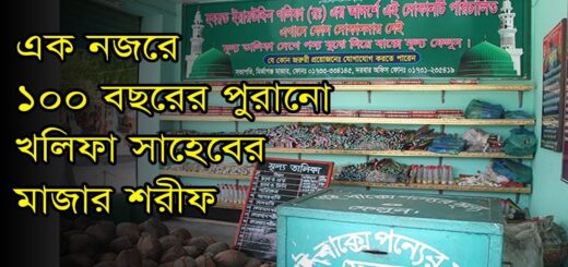 এক নজরে ১০০ বছরের পুরোনো খলিফা সাহেবের মাজার শরীফ | Anannya | Majar