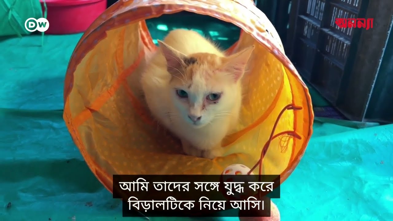 কুকুর-বিড়ালের জন্য হৃদির আশ্রয়কেন্দ্র | Anannya | DW