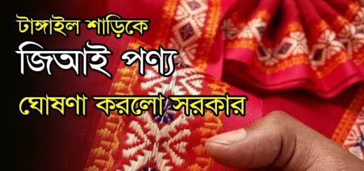 টাঙ্গাইল শাড়িকে জিআই পণ্য ঘোষণা করেছে সরকার