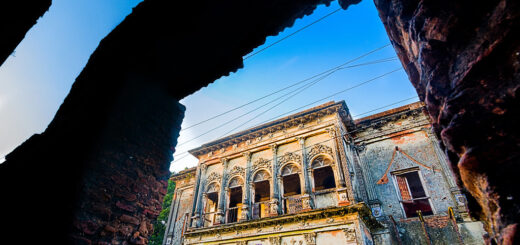 নারী দিবসে হয়ে যাক ডে ট্রিপ